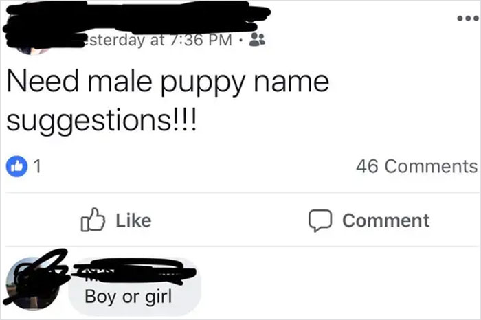 Dumb-Questions-Asked-Internet