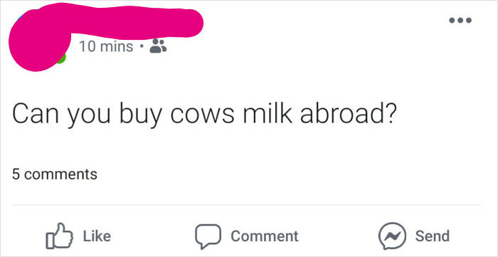 Dumb-Questions-Asked-Internet