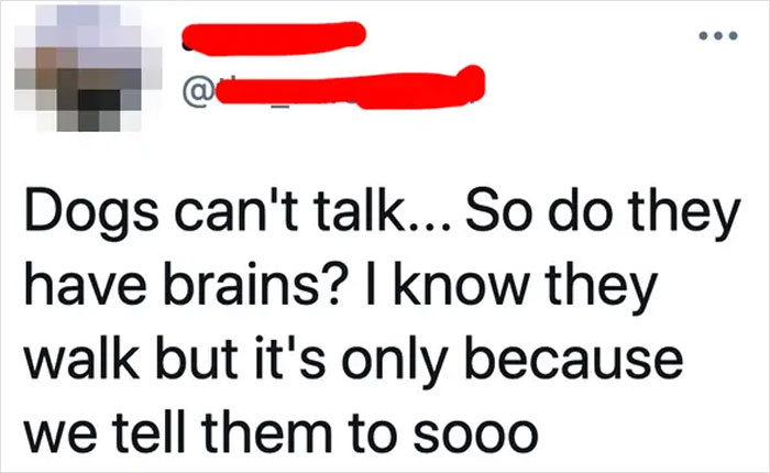 Dumb-Questions-Asked-Internet