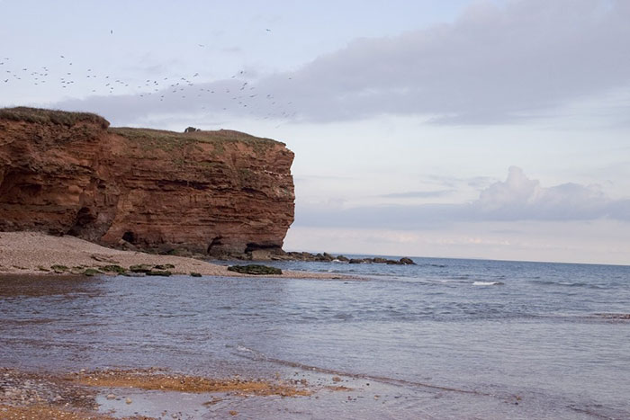 30 Of The Dumbest Things People Witnessed Geniuses Do