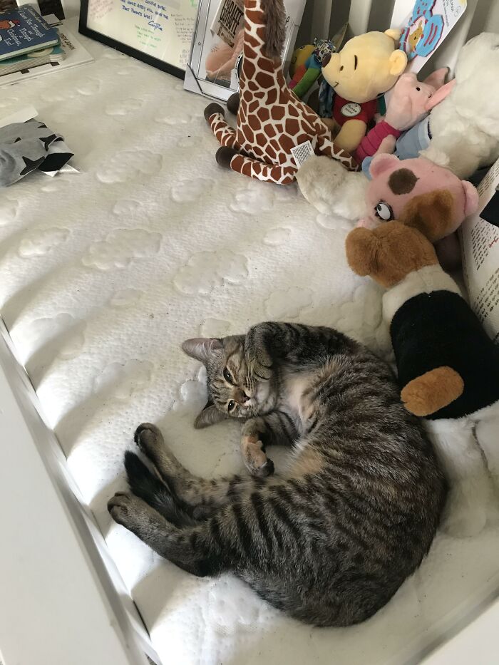 She Thinks We Set Up A Whole Room And Crib Just For Her😅