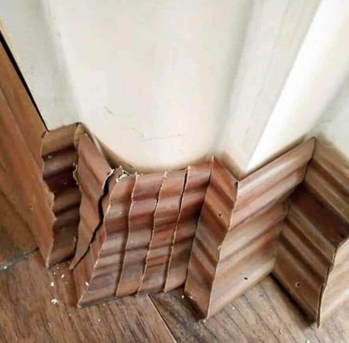 50 Examples Proving That Not All Engineers Are That Smart