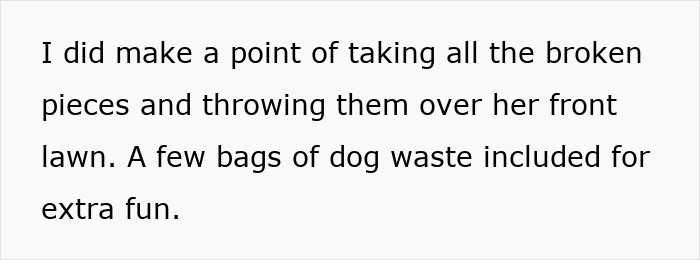 Entitled Mom Breaks Into Neighbor's Pool, Then Terrorizes The Neighborhood, Ends Up In Prison