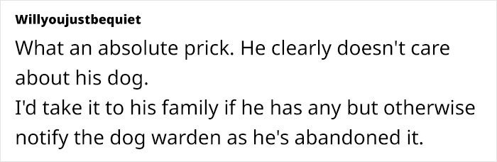 Woman Stuck With Ex&rsquo;s Massive Dog As He Goes Abroad, Starts Calling Shelters To Get Rid Of It