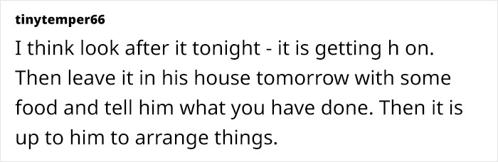 Woman Stuck With Ex&rsquo;s Massive Dog As He Goes Abroad, Starts Calling Shelters To Get Rid Of It