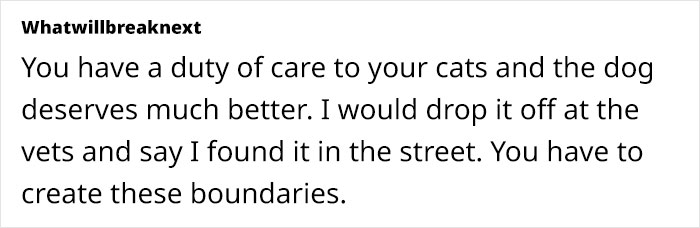 Woman Stuck With Ex&rsquo;s Massive Dog As He Goes Abroad, Starts Calling Shelters To Get Rid Of It