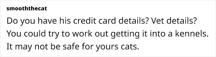 Woman Stuck With Ex&rsquo;s Massive Dog As He Goes Abroad, Starts Calling Shelters To Get Rid Of It