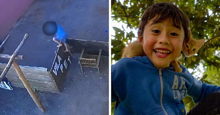 “Tragic Story”: After 9YO Brutally Attacked 23 Animals, Psychopathy Expert Debunks Myths