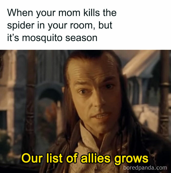 Where Are The Eagles When You Need Them?