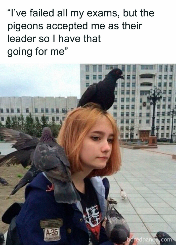 A girl with pigeons on her head and shoulders, creating a funny bird meme scene.