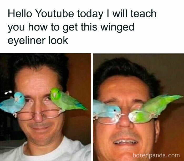 Man with birds perched on glasses, resembling winged eyeliner. Perfect material for memes.