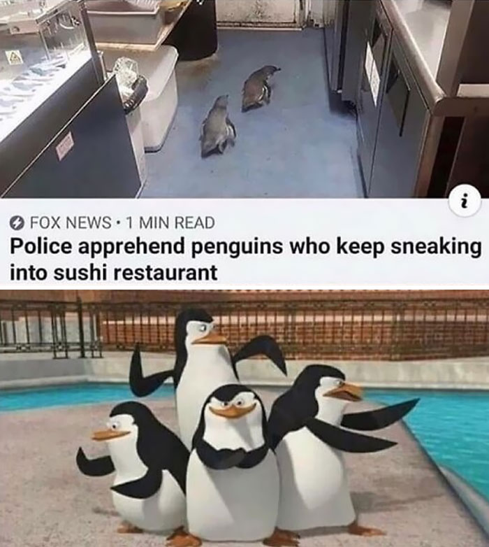 Penguins spotted sneaking into a sushi restaurant, captured in a humorous bird meme.