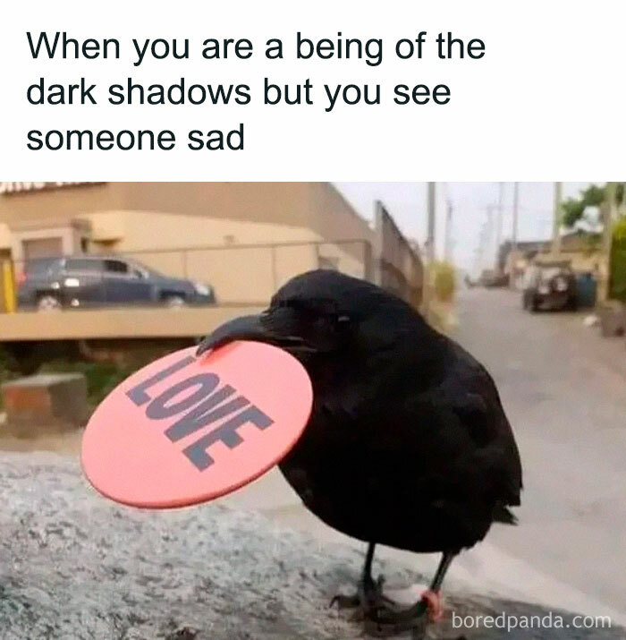 A bird holding a "LOVE" sign in its beak, perfect for meme material.