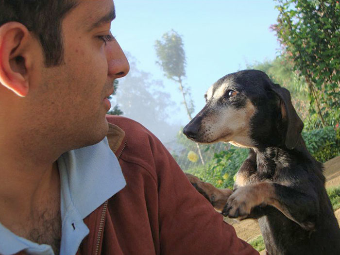 My Dachshund Pawing Me To Share A Moment