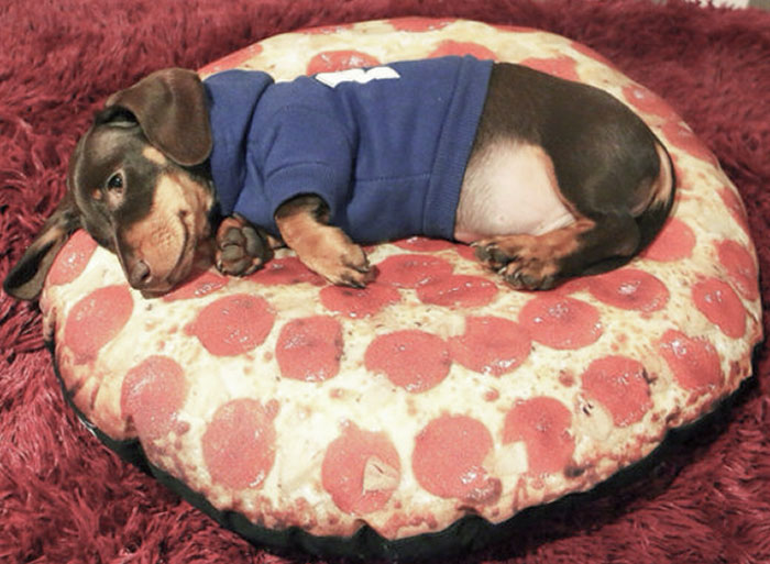 Pizza With Extra Sausage