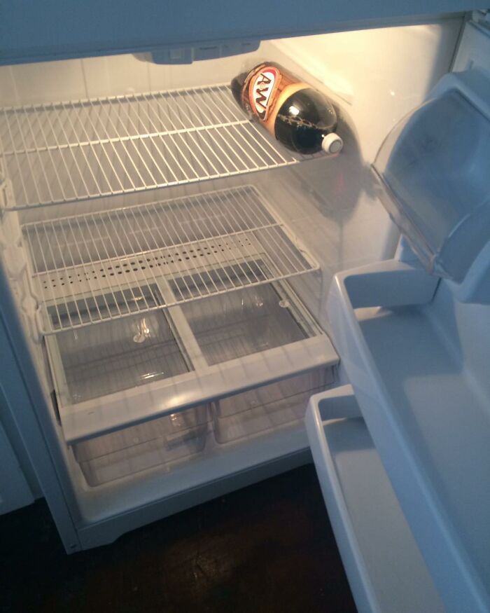 Open fridge with a single bottle of root beer, highlighting typical chaotic dude fridge contents.