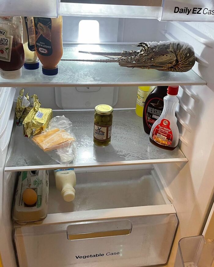 Chaotic fridge with lobster, sauces, pickles, cheese, butter, and eggs from Dude Fridges Instagram account.
