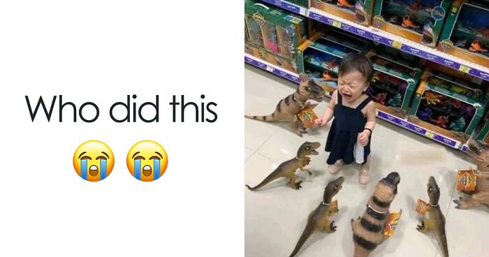 50 Random Memes That Have No Business Being This Funny