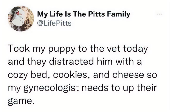Funny meme about a vet visit with puppy, mentioning cookies and cheese, and making a humorous comparison to a gynecologist's service.