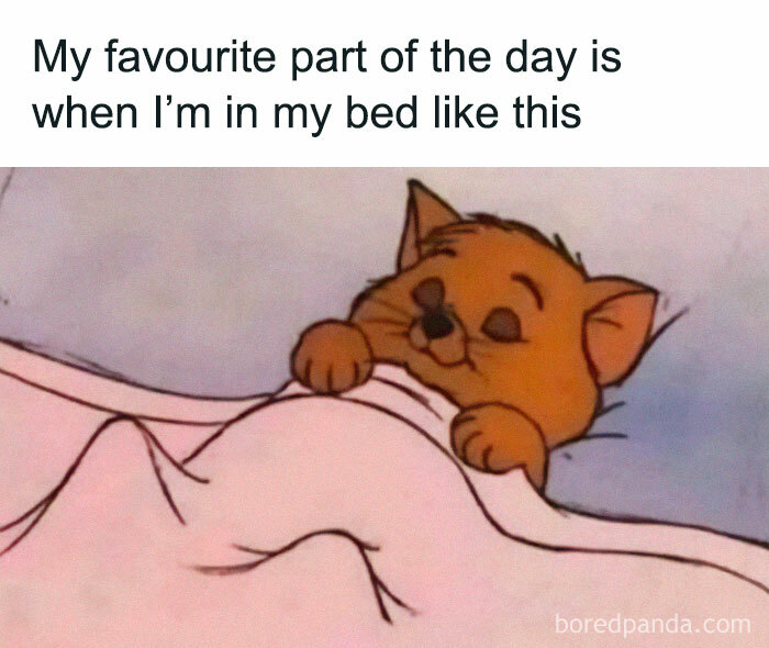 Cute cartoon cat snuggled in bed, illustrating funny memes for a touch of humor.