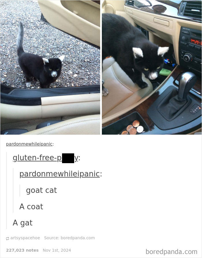 Funny-Tumblr-Jokes-Stoleitfromtumblr