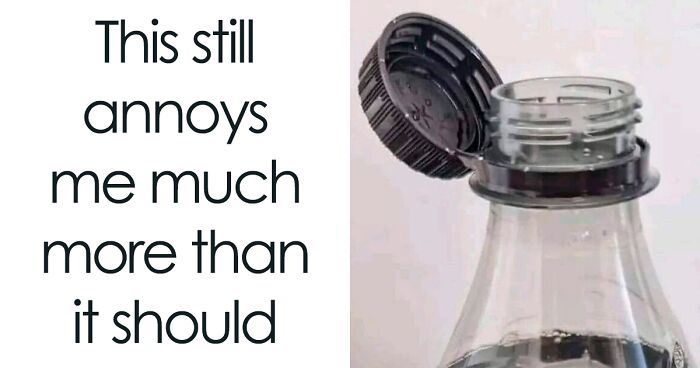 50 Hilarious Memes That Display British Humor At Its Finest