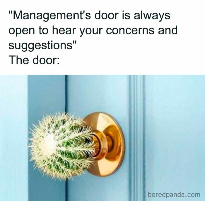 Cactus doorknob meme humorously depicts management's open door policy.