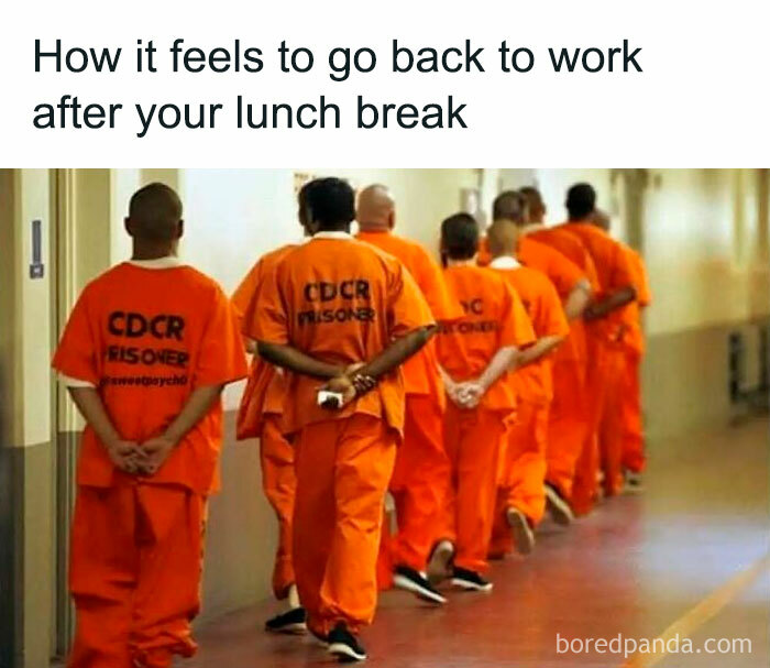 Prisoners in orange jumpsuits in a hallway, humorously compared to returning to work after a coffee break, highlighting spot-on memes.