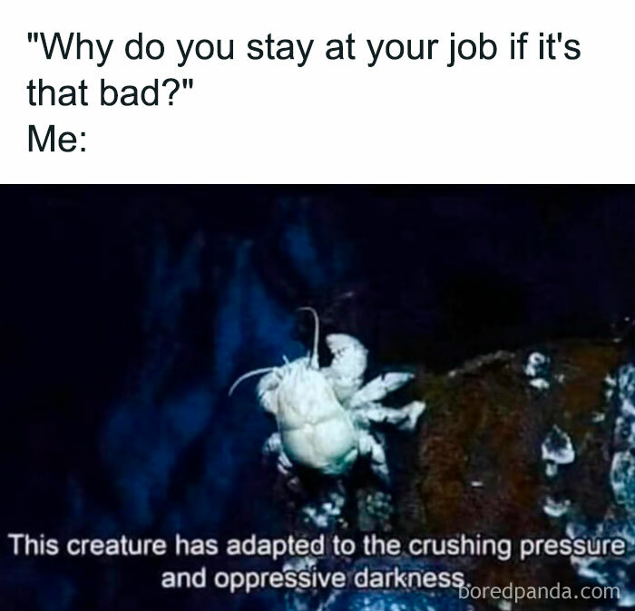 Deep-sea creature meme about work-life balance, relating to adaptation under pressure.
