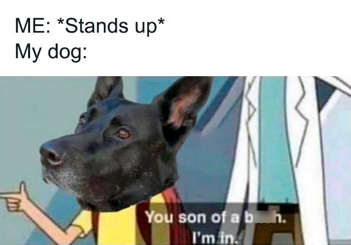 Funny-Zesty-Supreme-Memes