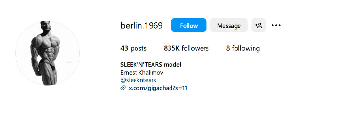 Instagram profile of Ernest Khalimov, known for Giga Chad meme, showing 835K followers and minimalistic layout.