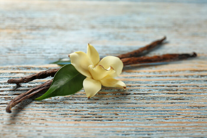Vanilla flower and pods on wooden surface, symbolizing happiness through smell.