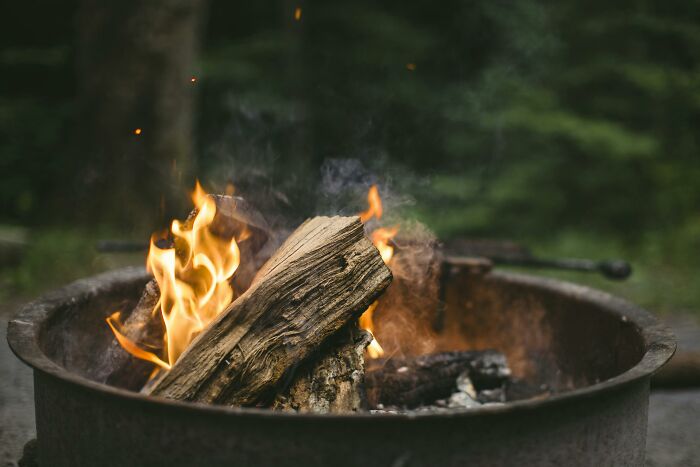 A campfire burning in the woods, evoking feelings of happiness and nostalgia discussed in Reddit threads.