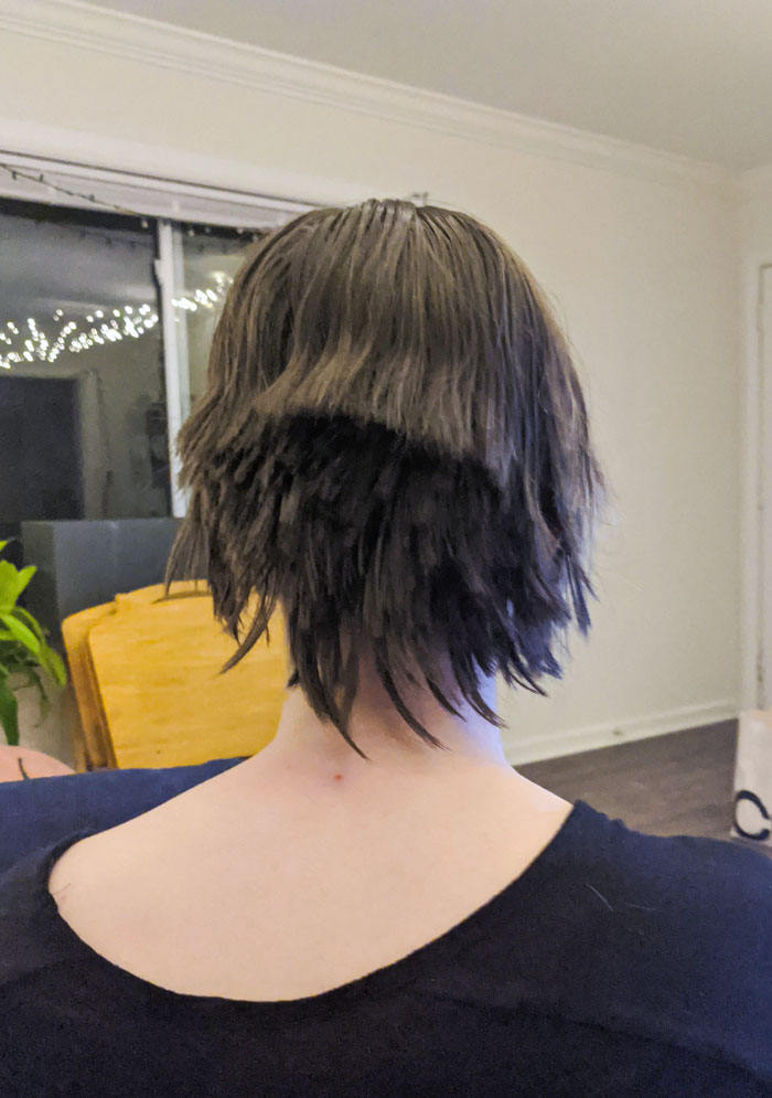 Pues, intenté cortarme el cabello