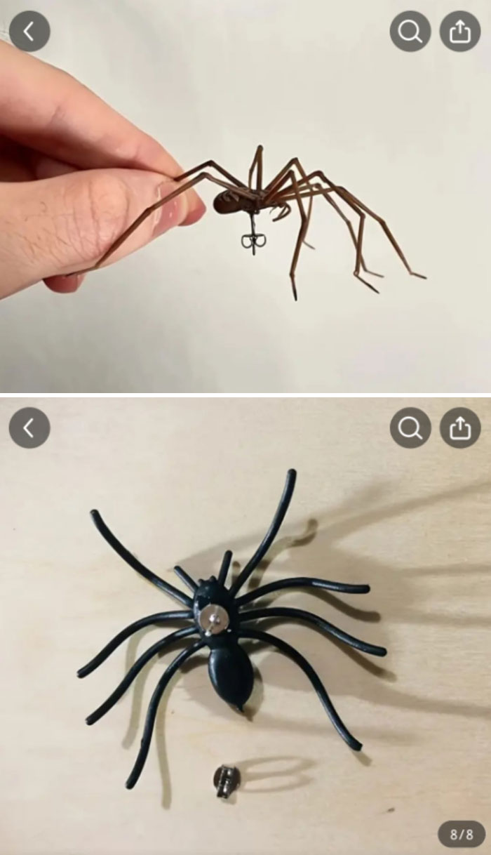 I Am Wheezing. Temu Strikes Again. The First Picture Was Stolen From An Etsy Seller, Who Hand Makes These Realistic Spider Earrings. The Second Is What They Actually Send