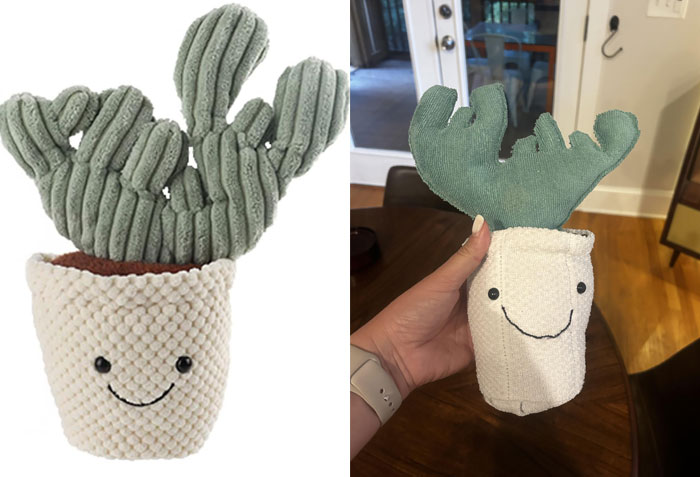 Online shopping fails: plush cactus toy with a smile in an ideal photo versus a smaller, less detailed version received.