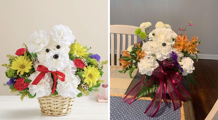 Online shopping fail: ordered floral dog arrangement versus received mismatched bouquet.