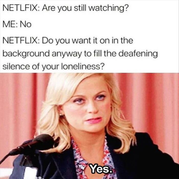 Woman humor meme with Netflix asking if she wants to keep watching in the background to fill loneliness.