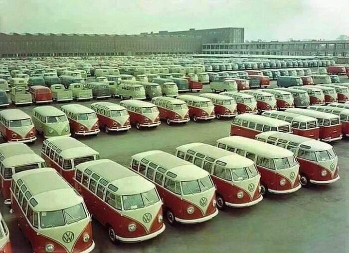 Vw Buses On The Factory Lot, 1960s