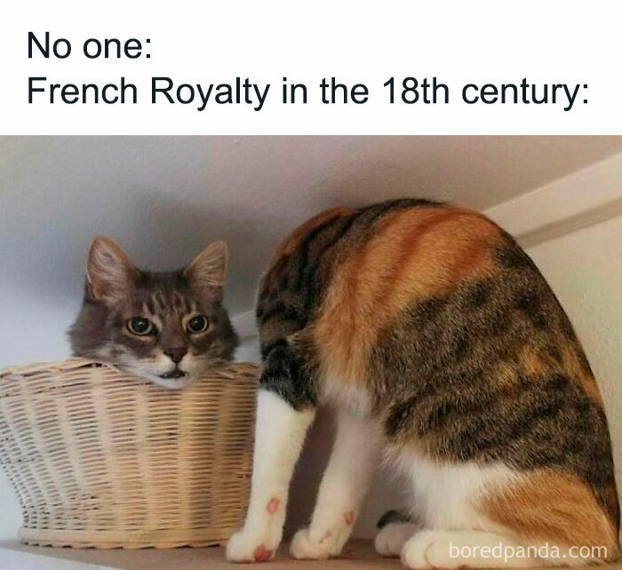 Cat meme humorously depicting 18th-century French royalty, with a cat in a basket and another cat facing away.