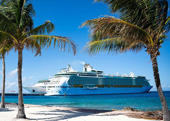 Cruise ship docked near palm trees, representing a tropical gaycation experience.