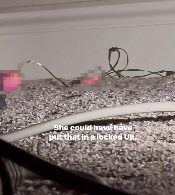 Women Baffled After Everything In 9-Bedroom Rental House Is Zip-Tied Shut&mdash;Including The Fridge