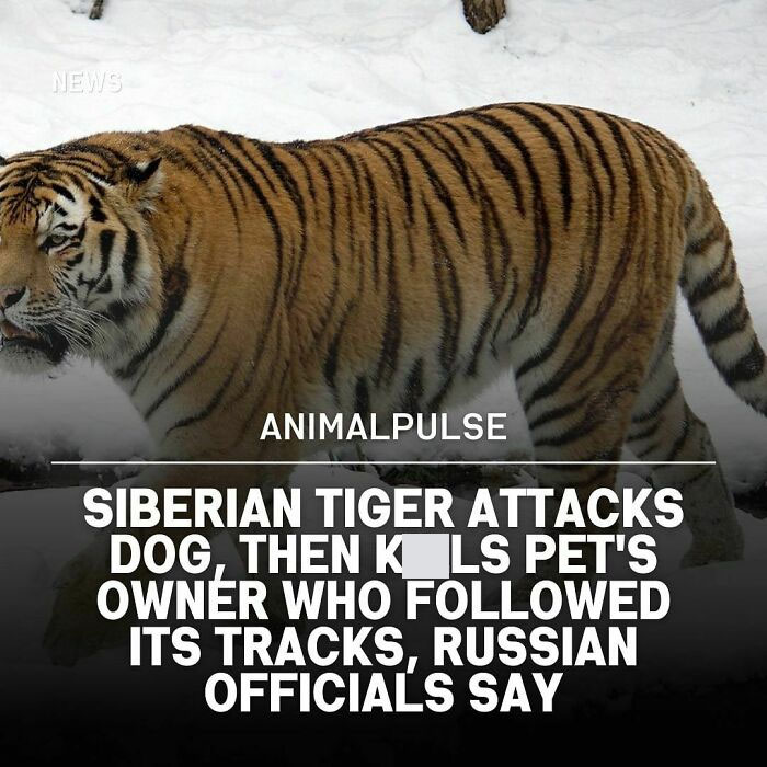 Interesting-Animal-Facts