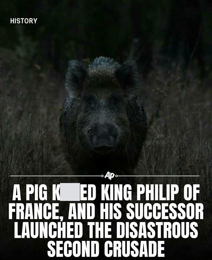 Interesting-Animal-Facts