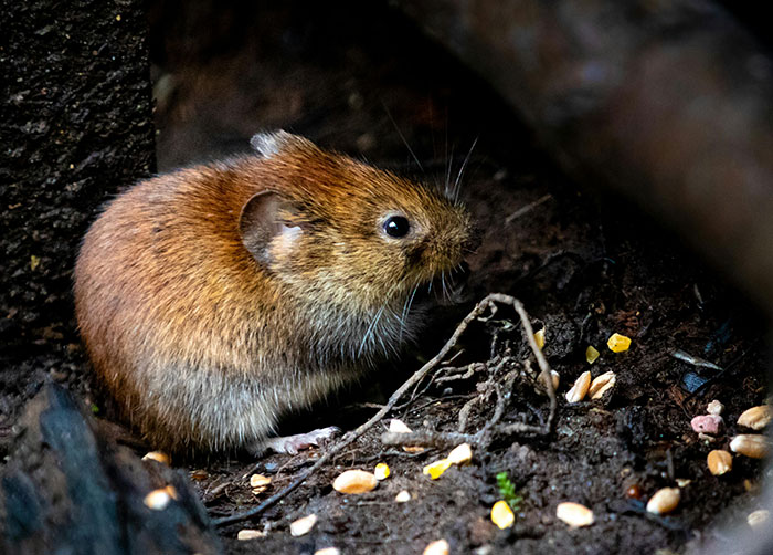 “Just A Screen”: 30 Parts Of Jobs The General Public Isn’t Supposed To Know About