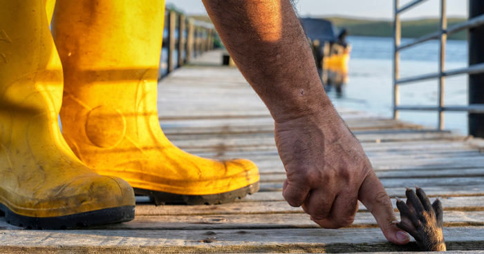 A Heart-Warming Story Of Rare Friendship Between A Wild Otter And A Man From Remote Scottish Islands