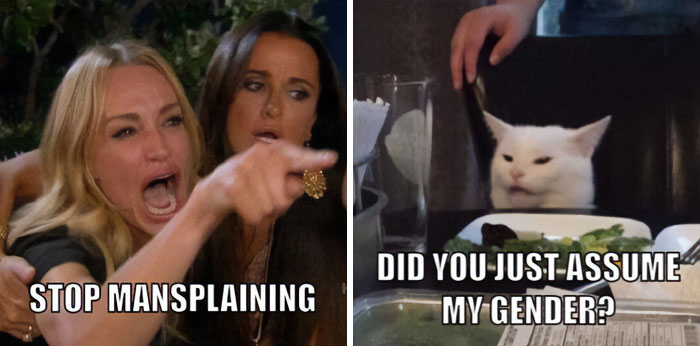 Woman yelling "STOP MANSPLAINING" and confused cat responding "DID YOU JUST ASSUME MY GENDER?" in a mansplaining meme.