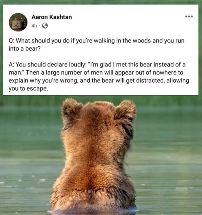 Mansplaining meme with a bear in water, suggesting men distract it by explaining why meeting a bear is preferable.