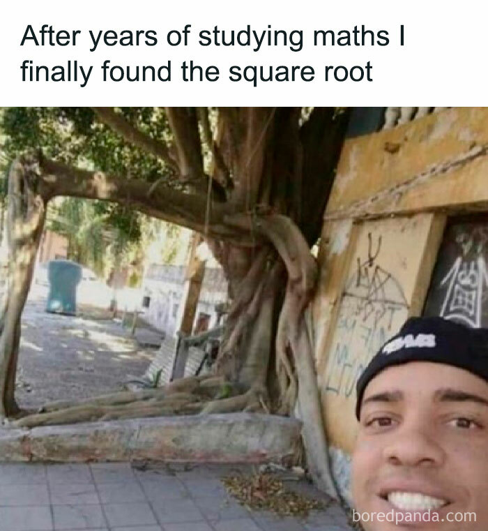 A math meme showing a person smiling in front of a tree with square-shaped roots, captioned "After years of studying maths I finally found the square root."
