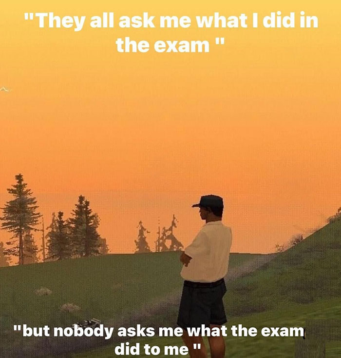 A math meme showing a character standing in a field at sunset, captioned, "They ask what I did in the exam, but nobody asks what the exam did to me."
